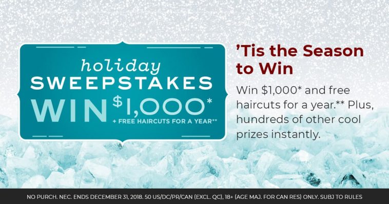 SmartStyle Holiday Sweepstakes