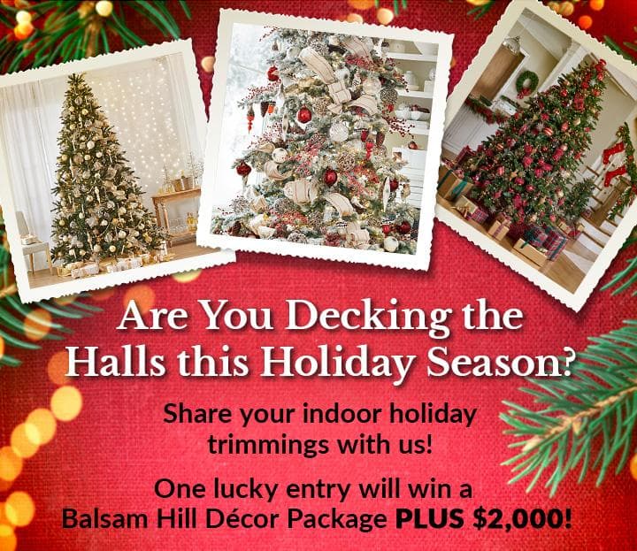 Kelly And Ryan Balsam Hill Holiday Decorations Sweepstakes 2022