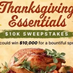 Food Network Thanksgiving Essentials Sweepstakes 2023