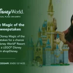 shop Disney Magic Of The Season Sweepstakes 2023